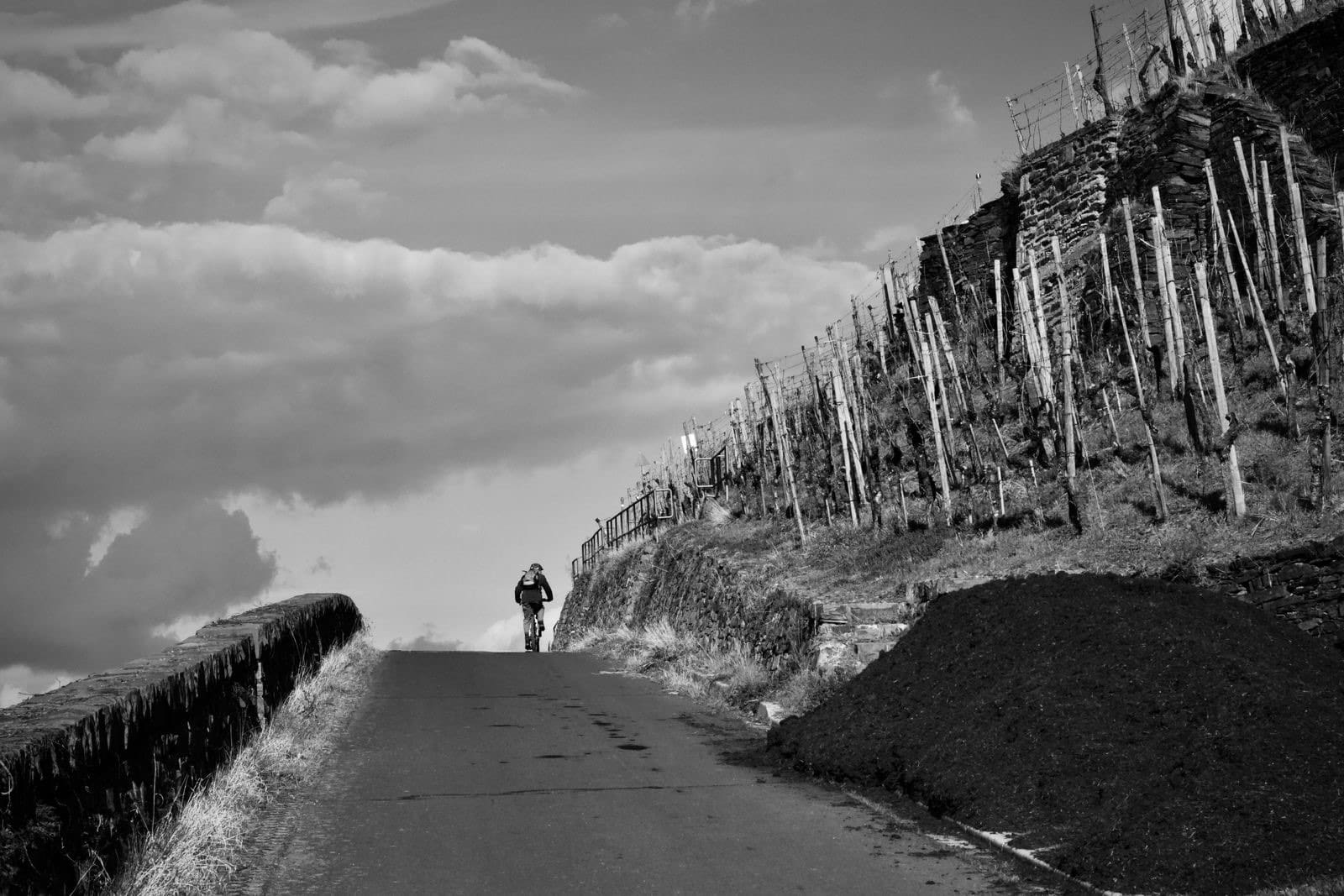 Cyclist riding along a quiet road beside a vineyard hillside