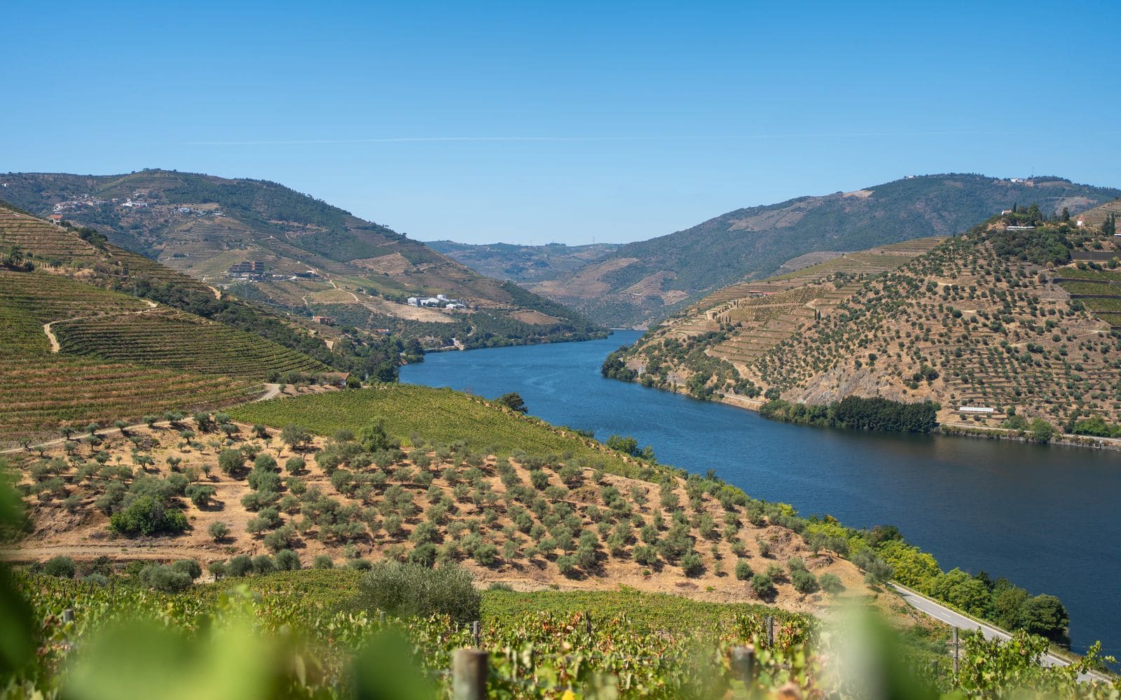 Douro River curving through terraced vineyards in the Douro Valley