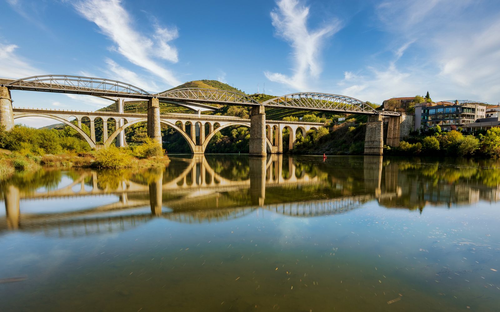Bridge over the Douro River in Peso da Régua, Portugal