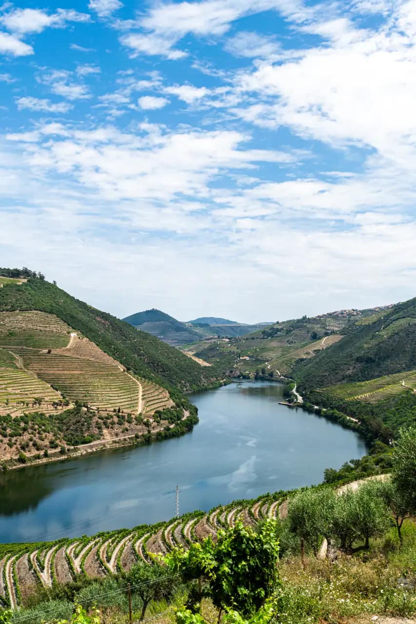 Douro River curving between vineyard-covered hills