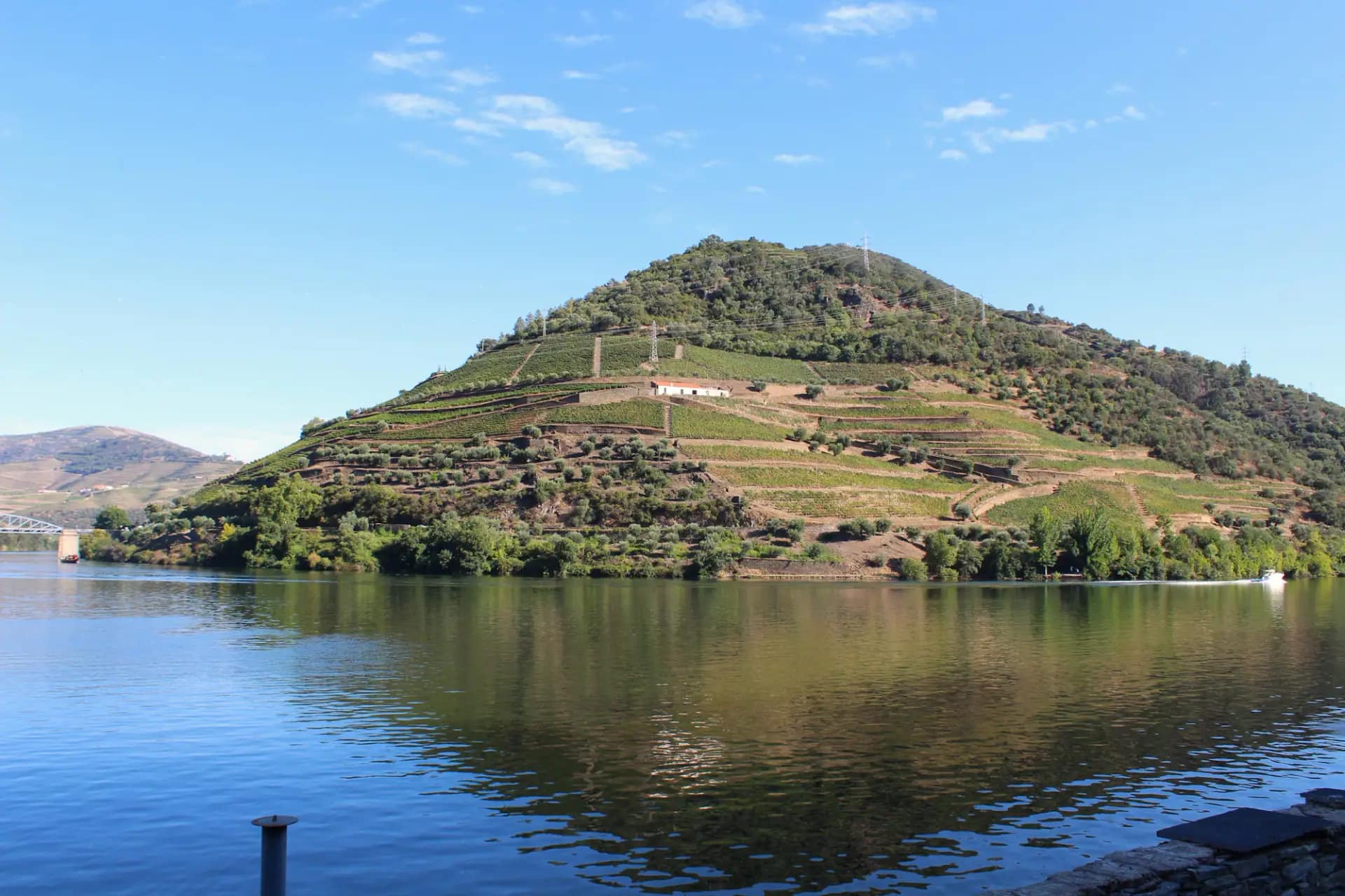 Douro river and vineyards near Pinhão
