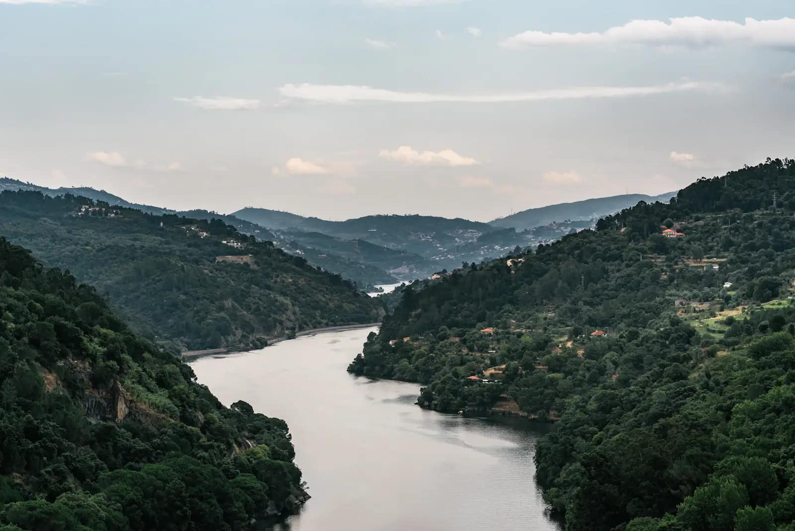 Train travelling beside the Douro River through the valley